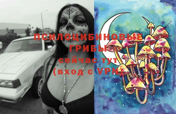 твердый Алексин
