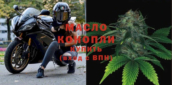 дживик Майский