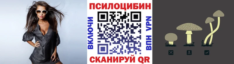 Псилоцибиновые грибы Magic Shrooms  Брянск 