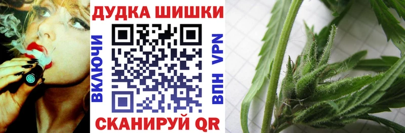 Бошки марихуана ГИДРОПОН  МЕГА маркетплейс  Брянск 